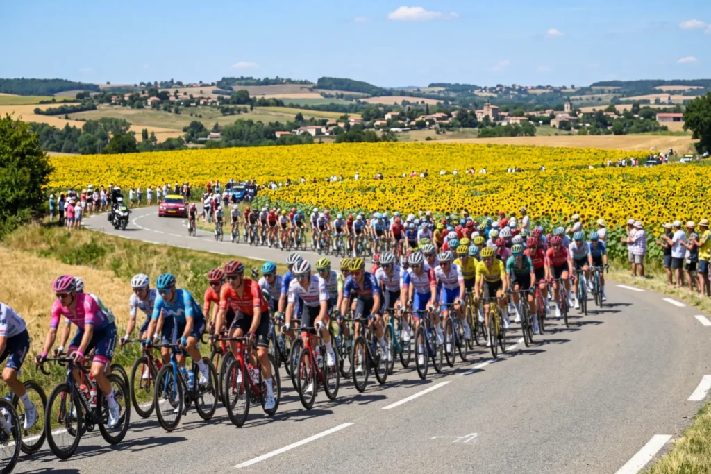 Pelotón del Tour de Francia pasando por campos de girasoles